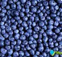 Blueberry Garden - lék na mnoho nemocí