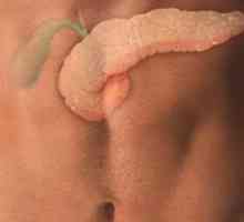 Tlustý žluči ve žlučníku: příznaky a léčba