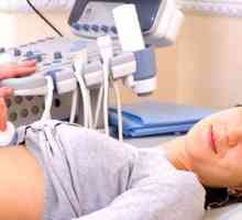 Jak se ultrazvukové vyšetření sleziny?
