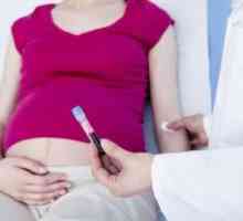 Norma fibrinogenu v průběhu těhotenství a způsobuje abnormality bílkovin