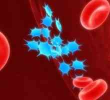 Proč je destiček snížení krev? Mezi hlavní příznaky a znaky.