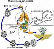Metody pro detekci parazitů v lidském těle