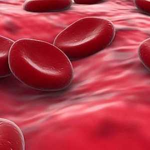 Hemoglobin a jeho normou u mužů