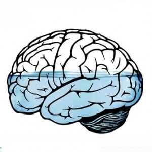 Hydrocefalus (otok mozku): příčiny, příznaky, jak se chovat, účinky