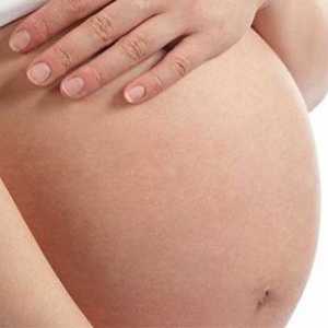 Otoky genitálií během těhotenství