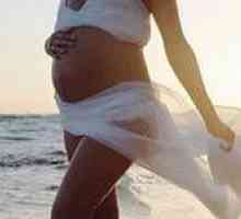 20 Týdnů těhotenství - vaše Equator