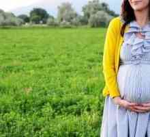 33 Týdnů těhotenství - pravidla života ženy na tento termín