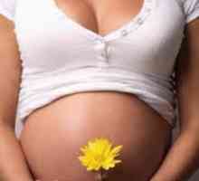 38 Týdnů těhotenství - cílovou čáru ...