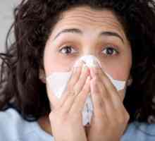Alergie na koření - běžný problém