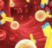 Krev gama-globuliny