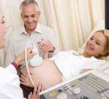 Doppler ultrazvuk v těhotenství - co to je, příprava a vyšetření