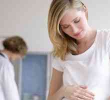 První ultrazvukový screening v těhotenství: způsob a rychlost indikátorů