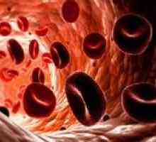 Hlavními důvody pro nízké hladiny hemoglobinu v krvi