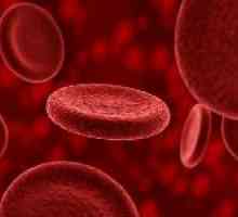 Zvýšené hladiny červených krvinek: hlavní důvody