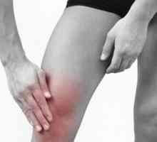 Osteoartritida ve 2. stupni kolenního kloubu