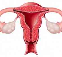 Atrézie děložního čípku u žen po menopauze
