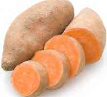 Sladké brambory: Užitečné vlastnosti, kontraindikace, recepty