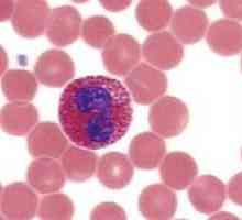 Co je eosinofily, a že vykazují při krevních testech