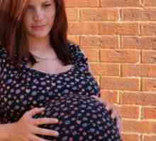 Bílý výtok, červené tečky v těhotenství - je drozd?