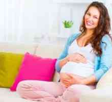 Těhotenství - 21. týden: velikost plodu a vývoj dítěte