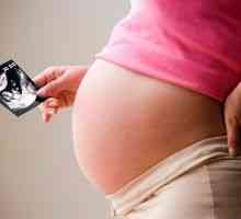 Ultrazvuk srdce během těhotenství: Charakteristika a indikace k vyšetření