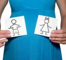Těhotné na poznámka: co týden je možné znát pohlaví dítěte