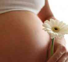 Bezpečné ošetření kvasinek v průběhu těhotenství: doporučení lékaře