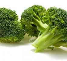 Brokolice. užitečné vlastnosti