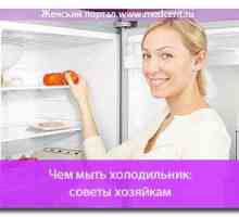 Mytí lednice: Tipy domácnosti