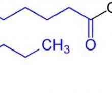Popularita je vzhledem k mono- a diglyceridů mastných kyselin E471?
