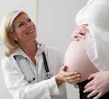 Nebezpečné arytmie v průběhu těhotenství?