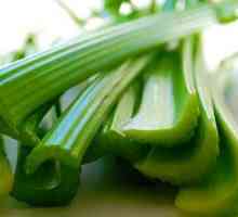 Celer je užitečné pro zdraví mužů