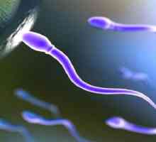 Co dělat při sníženém objemu spermií