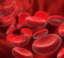 Co je to „červených krvinek v krevním testu?“