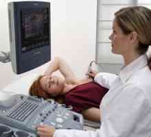 To, co dělá ultrazvukové vyšetření žaludku?