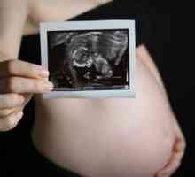 Co se stane s ženském těle, a ovoce, když je to 31 týdnů těhotenství?