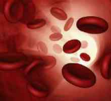 Co je to krev anémie
