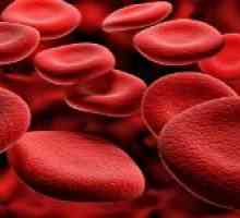 Co je haemoscanning krev ak čemu se používá?