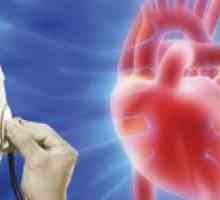 Co je hyperechogenní zaměření v komoře srdce plodu