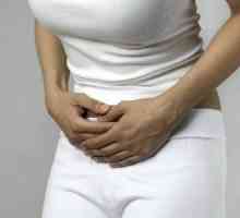 Co je endometrióza, děloha a jak zjišťovat tuto nemoc
