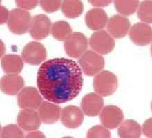 Co je eozinofilů v krvi