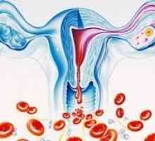Co je těžké menstruace?