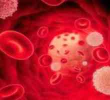 Důvody pro pokles neutrofilů v krvi a metody korekce