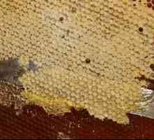 Co je včelí Zabrus a jak se používá?