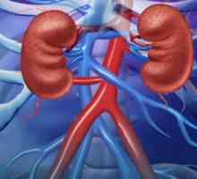 Co je peritoneální dialýza