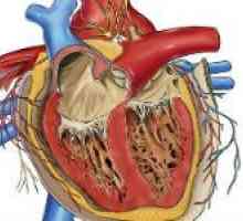 Vrozená srdeční vada a jejich příčiny