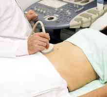 Co je zahrnuto v ultrazvukovém postupu břicha?