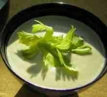 Diet Soup Celer: hlavní jídla recepty