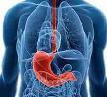 Dietní strava v gastrointestinálních chorob: recepty