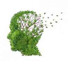Atrofie mozku: příčiny a faktory vývoje, příznaky, léčba, prognóza